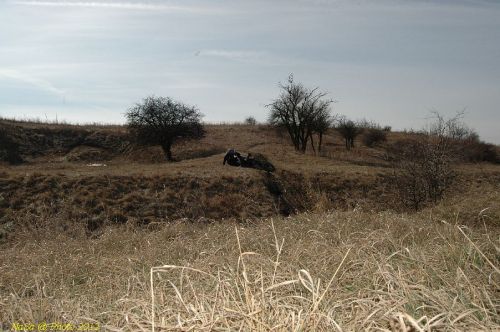 DSC_8907.JPG