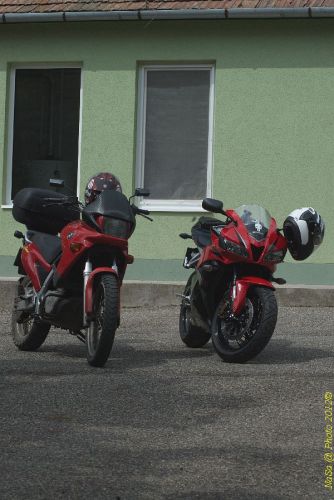 DSC_9391.jpg