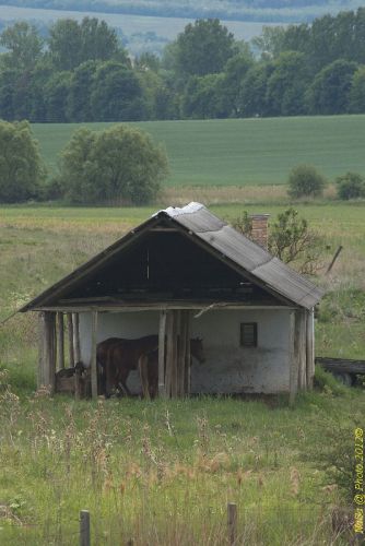 DSC_9431.jpg