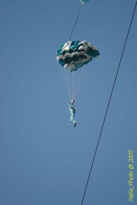 DSC_1459.JPG