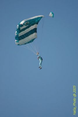 DSC_1462.JPG