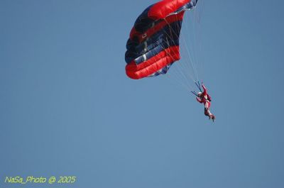 DSC_1503.JPG