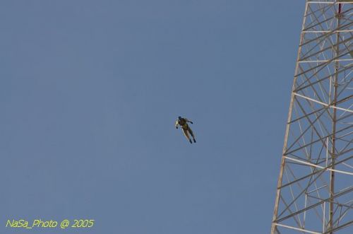 DSC_2017.JPG