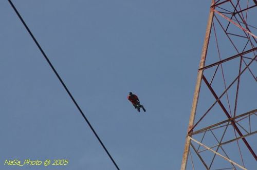 DSC_2031.JPG