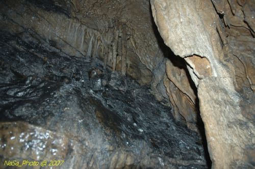 DSC_3218.jpg