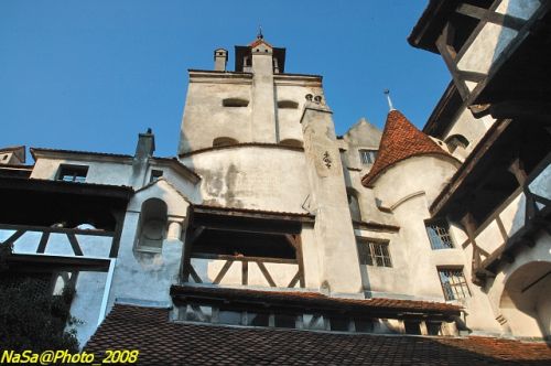 DSC_6999b.jpg