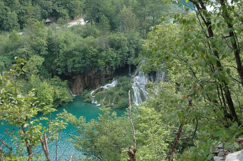 DSC_2630.JPG