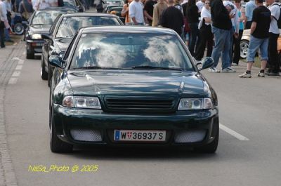DSC_8484.JPG
