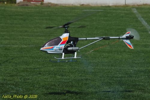 DSC_5833.jpg