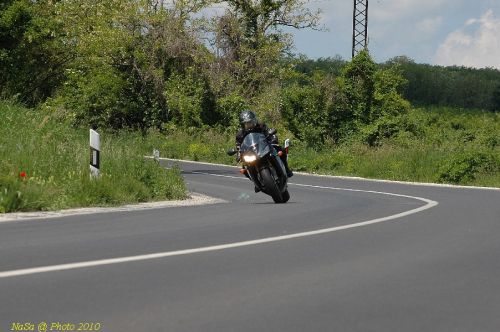 DSC_1241.JPG
