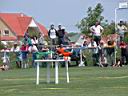 TN_DSCN4477.JPG