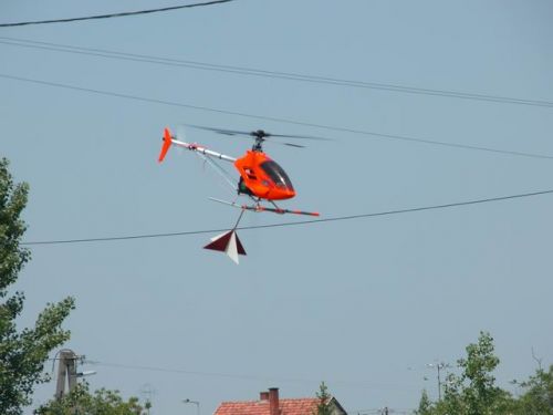 DSCN4488.JPG