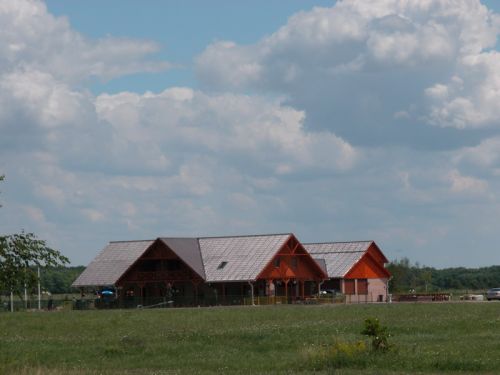 DSCN0195.JPG