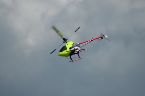 DSC_2311.JPG