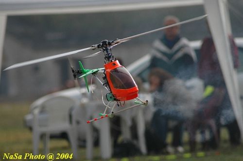 DSC_4306.JPG