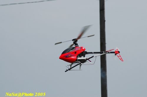 DSC_7774.JPG