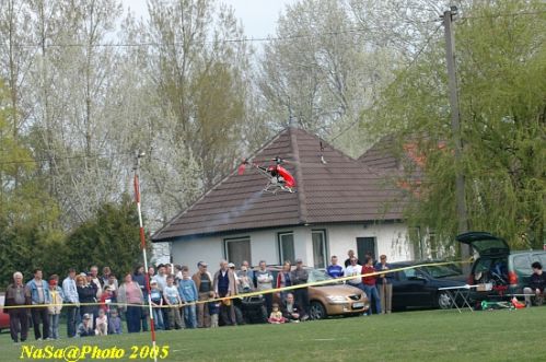 DSC_7776.JPG