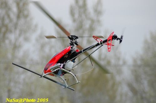 DSC_7785.JPG
