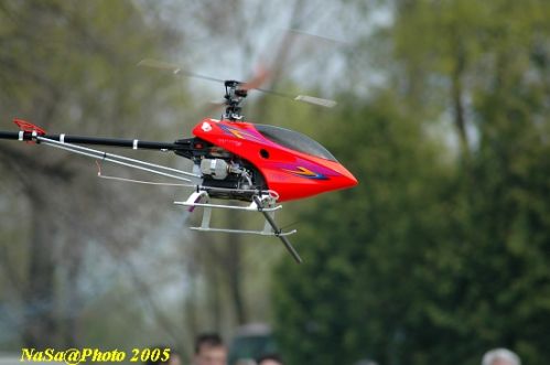 DSC_7794.JPG
