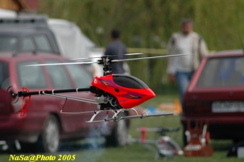 DSC_7795.JPG
