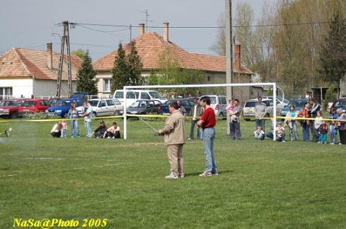 DSC_7817.JPG
