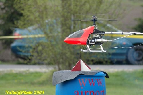 DSC_7835.JPG