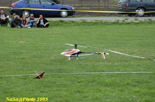 DSC_7846.JPG