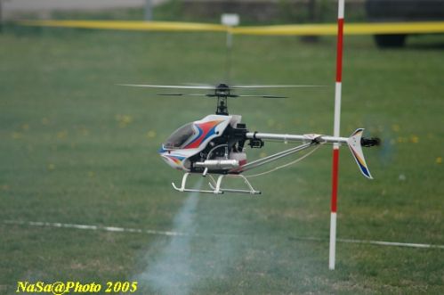 DSC_7859.JPG