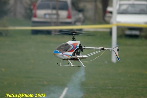 DSC_7861.JPG