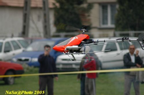 DSC_7877.JPG
