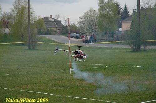 DSC_7914.JPG