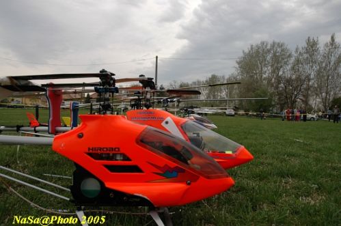 DSC_7925.JPG