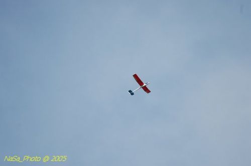 DSC_8796.JPG