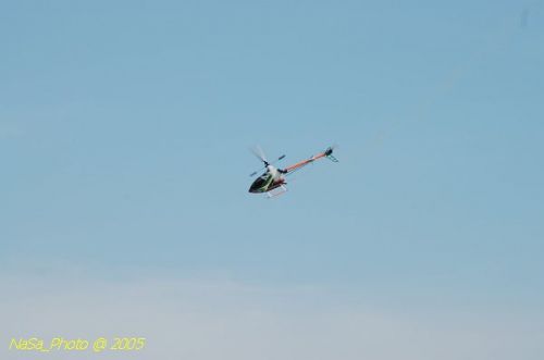 DSC_8839.JPG