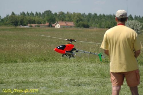 DSC_9137.JPG
