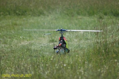 DSC_9152.JPG
