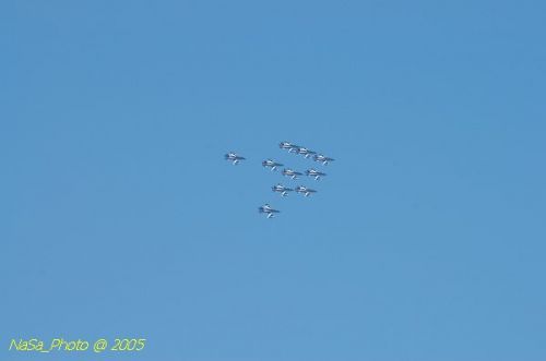 DSC_0931.JPG