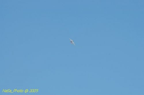 DSC_0969.JPG