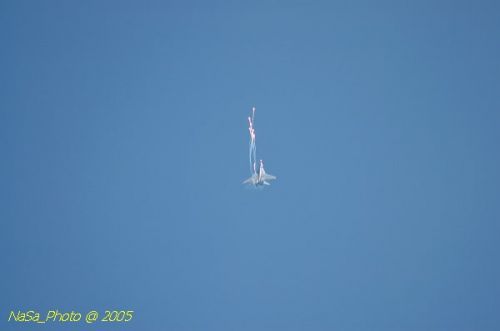 DSC_1084.JPG