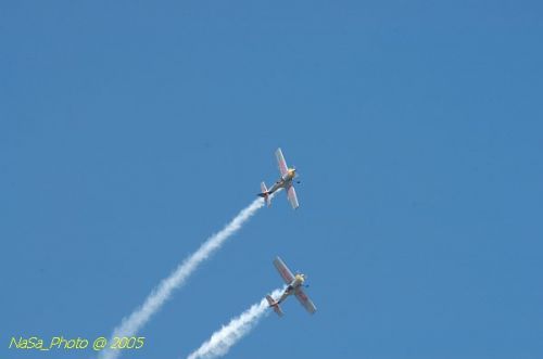 DSC_1137.JPG