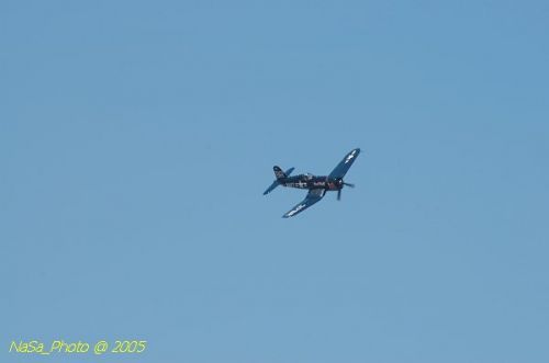 DSC_1146.JPG