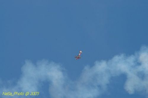DSC_1179.JPG