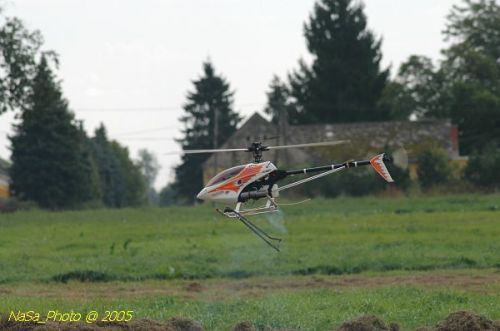DSC_3185.JPG