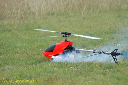 DSC_3166.JPG