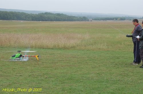 DSC_3181.JPG