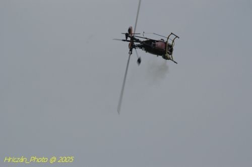 DSC_3202.JPG