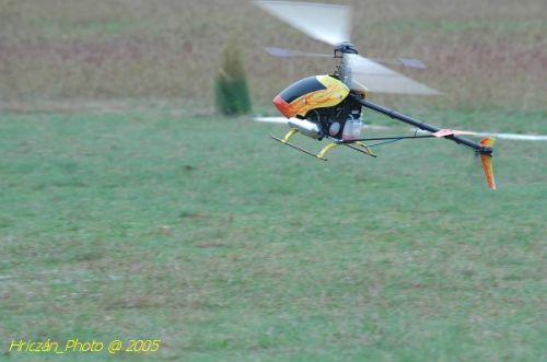 DSC_3211.JPG