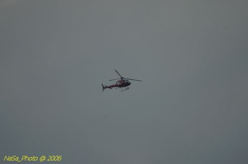 DSC_9955.jpg