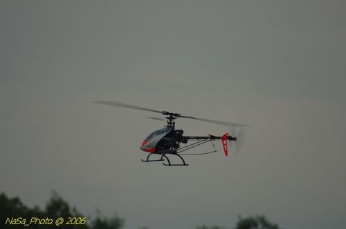 DSC_9988.jpg