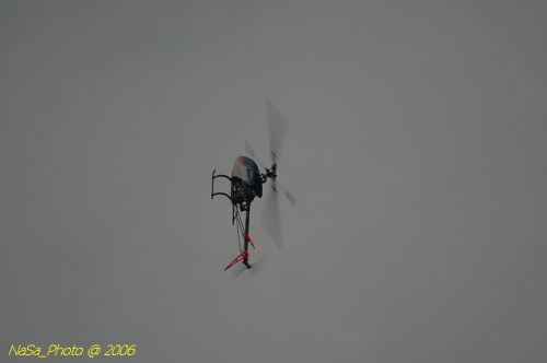 DSC_9993.jpg